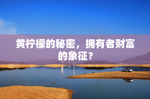 黄柠檬的秘密，拥有者财富的象征？