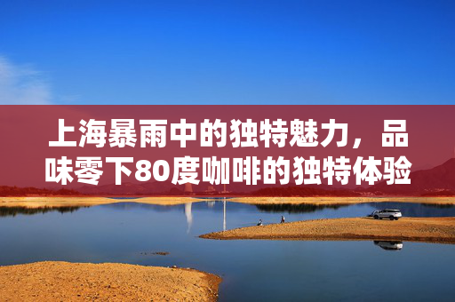 上海暴雨中的独特魅力，品味零下80度咖啡的独特体验