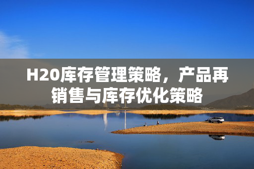 H20库存管理策略，产品再销售与库存优化策略