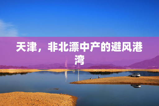 天津，非北漂中产的避风港湾