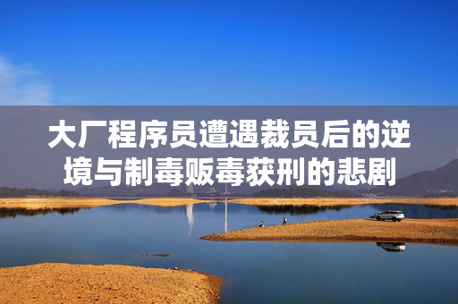 大厂程序员遭遇裁员后的逆境与制毒贩毒获刑的悲剧