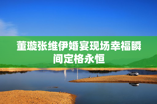 董璇张维伊婚宴现场幸福瞬间定格永恒
