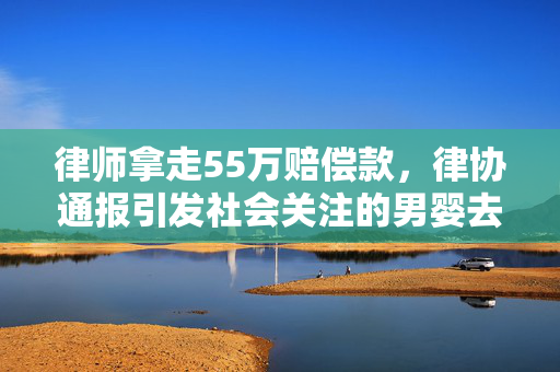 律师拿走55万赔偿款，律协通报引发社会关注的男婴去世事件