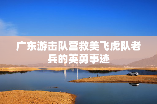 广东游击队营救美飞虎队老兵的英勇事迹