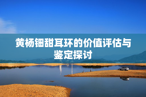 黄杨钿甜耳环的价值评估与鉴定探讨