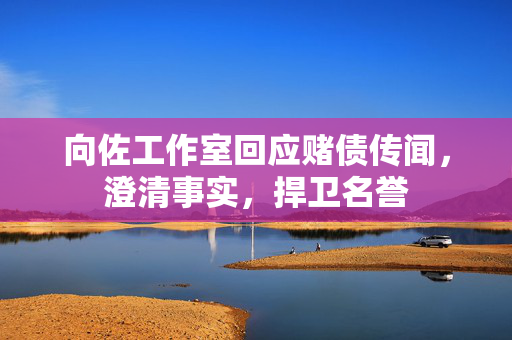 向佐工作室回应赌债传闻，澄清事实，捍卫名誉