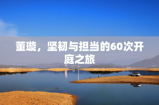 董璇，坚韧与担当的60次开庭之旅
