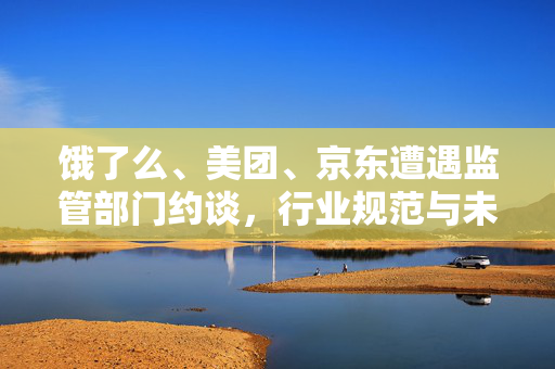饿了么、美团、京东遭遇监管部门约谈，行业规范与未来展望