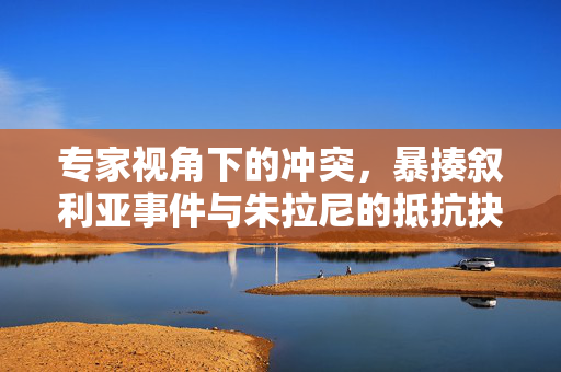 专家视角下的冲突，暴揍叙利亚事件与朱拉尼的抵抗抉择