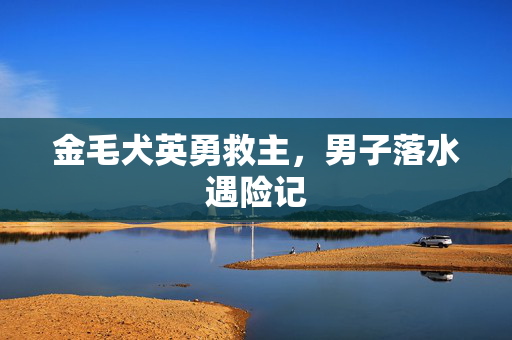 金毛犬英勇救主，男子落水遇险记