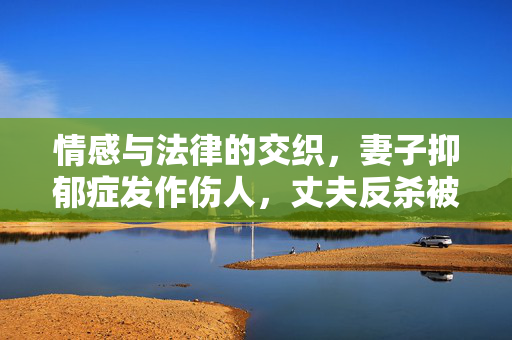情感与法律的交织，妻子抑郁症发作伤人，丈夫反杀被判的困境