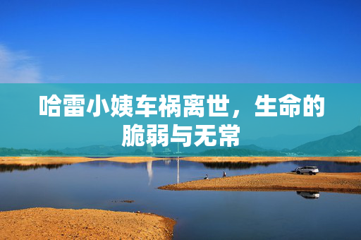 哈雷小姨车祸离世，生命的脆弱与无常