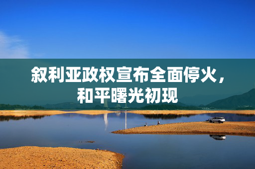 叙利亚政权宣布全面停火，和平曙光初现