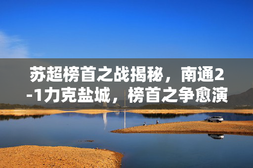 苏超榜首之战揭秘，南通2-1力克盐城，榜首之争愈演愈烈