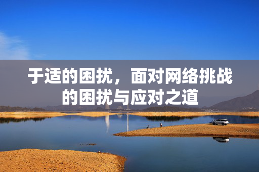 于适的困扰，面对网络挑战的困扰与应对之道