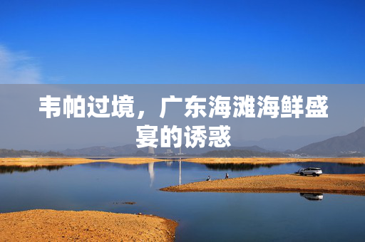 韦帕过境，广东海滩海鲜盛宴的诱惑