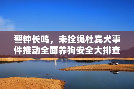 警钟长鸣，未拴绳杜宾犬事件推动全面养狗安全大排查