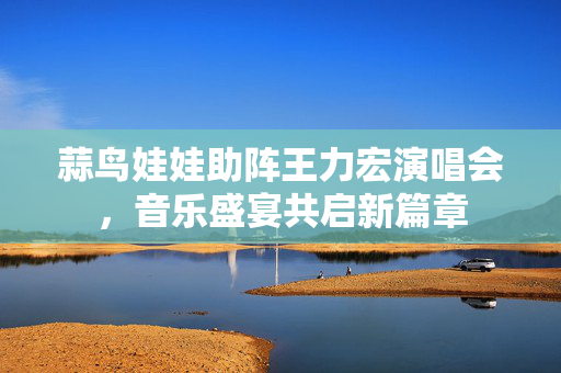 蒜鸟娃娃助阵王力宏演唱会，音乐盛宴共启新篇章