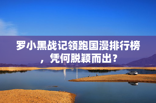 罗小黑战记领跑国漫排行榜，凭何脱颖而出？
