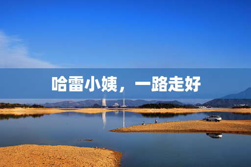 哈雷小姨，一路走好