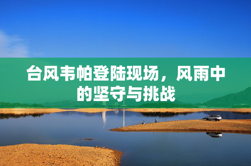 台风韦帕登陆现场，风雨中的坚守与挑战