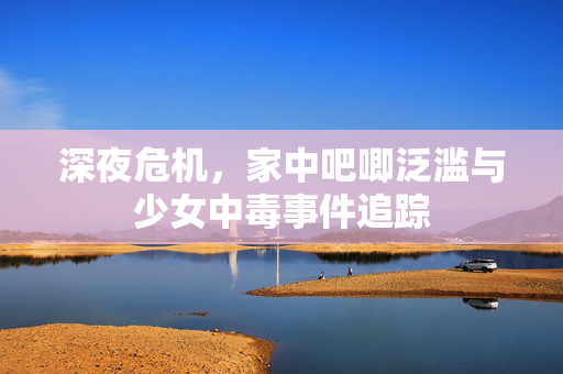 深夜危机，家中吧唧泛滥与少女中毒事件追踪
