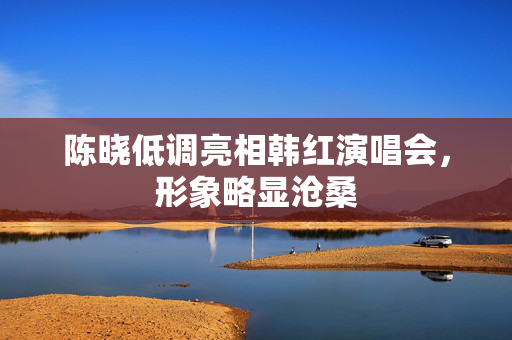 陈晓低调亮相韩红演唱会，形象略显沧桑