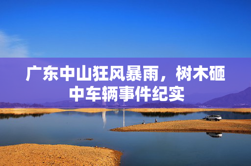 广东中山狂风暴雨，树木砸中车辆事件纪实