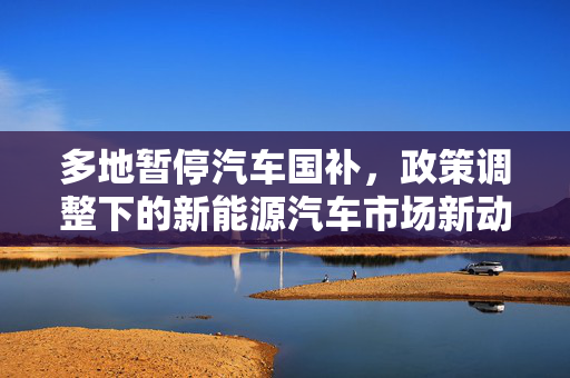 多地暂停汽车国补，政策调整下的新能源汽车市场新动向