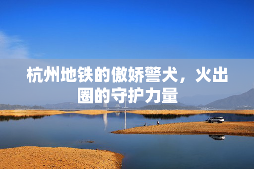 杭州地铁的傲娇警犬，火出圈的守护力量