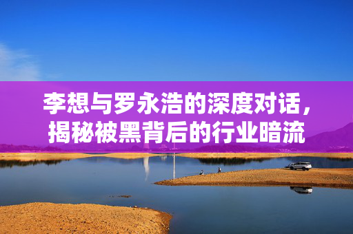 李想与罗永浩的深度对话，揭秘被黑背后的行业暗流