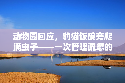 动物园回应，豹猫饭碗旁爬满虫子——一次管理疏忽的深刻反思