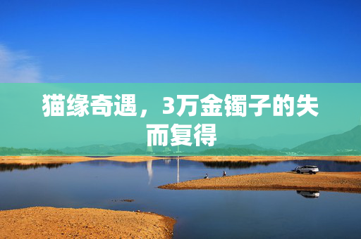 猫缘奇遇，3万金镯子的失而复得