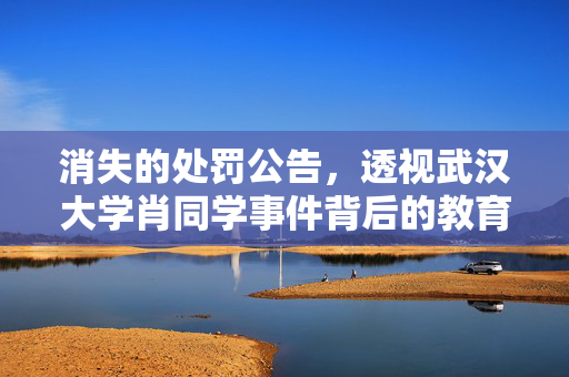 消失的处罚公告，透视武汉大学肖同学事件背后的教育伦理与信息公开
