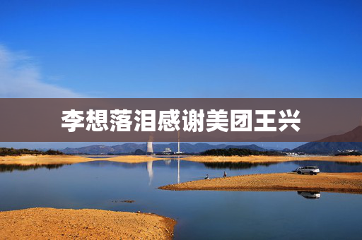 李想落泪感谢美团王兴