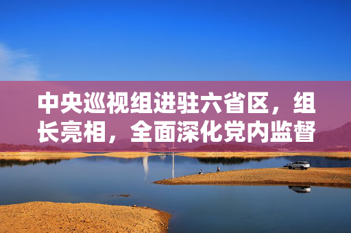 中央巡视组进驻六省区，组长亮相，全面深化党内监督，推动从严治党向纵深发展