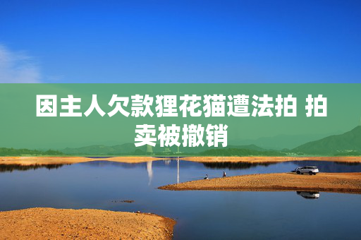 因主人欠款狸花猫遭法拍 拍卖被撤销