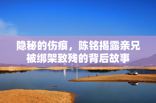 隐秘的伤痕，陈铭揭露亲兄被绑架致残的背后故事