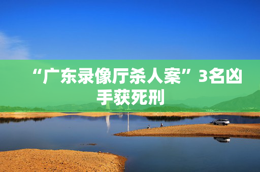 “广东录像厅杀人案”3名凶手获死刑