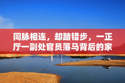 同脉相连，却踏错步，一正厅一副处官员落马背后的家族阴影