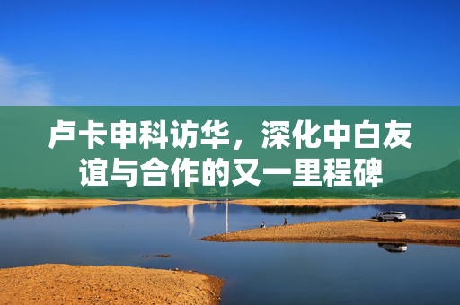 卢卡申科访华，深化中白友谊与合作的又一里程碑