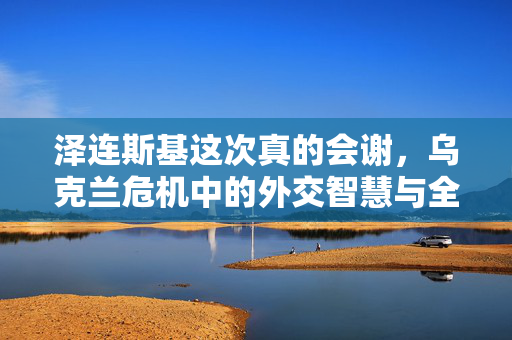 泽连斯基这次真的会谢，乌克兰危机中的外交智慧与全球合作新篇章