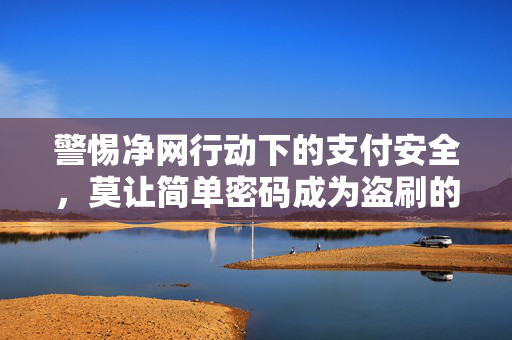 警惕净网行动下的支付安全，莫让简单密码成为盗刷的钥匙