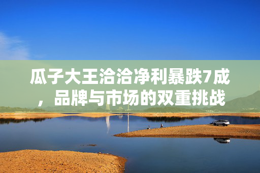 瓜子大王洽洽净利暴跌7成，品牌与市场的双重挑战