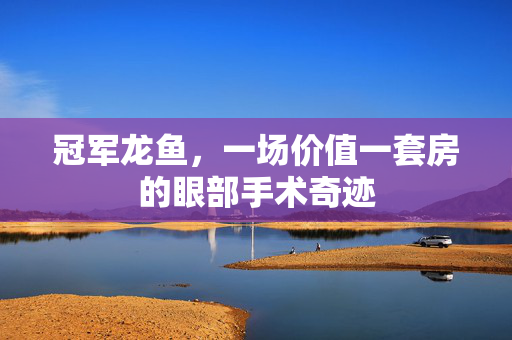 冠军龙鱼，一场价值一套房的眼部手术奇迹