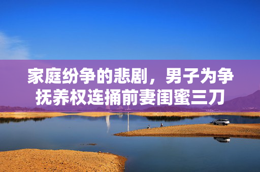 家庭纷争的悲剧，男子为争抚养权连捅前妻闺蜜三刀
