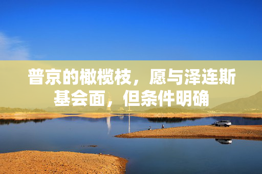普京的橄榄枝，愿与泽连斯基会面，但条件明确