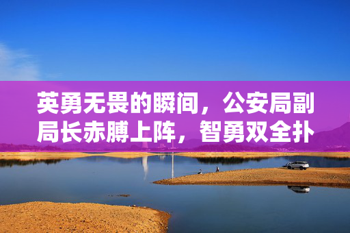 英勇无畏的瞬间，公安局副局长赤膊上阵，智勇双全扑倒诈骗分子
