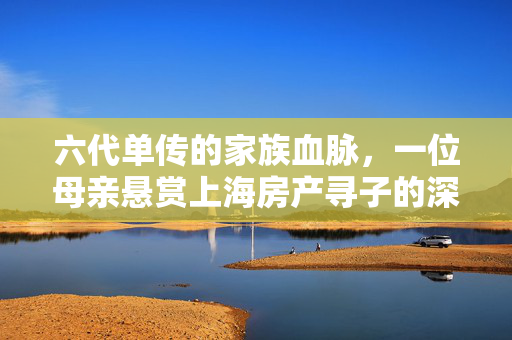 六代单传的家族血脉，一位母亲悬赏上海房产寻子的深情呼唤