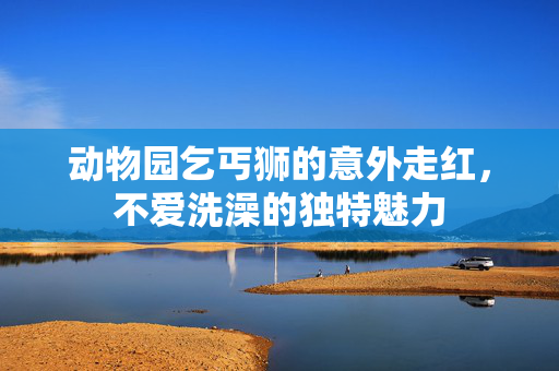 动物园乞丐狮的意外走红，不爱洗澡的独特魅力